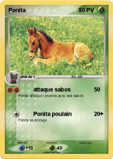 Pokemon Ponita