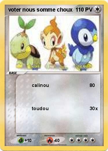 Pokemon voter nous somme choux 
