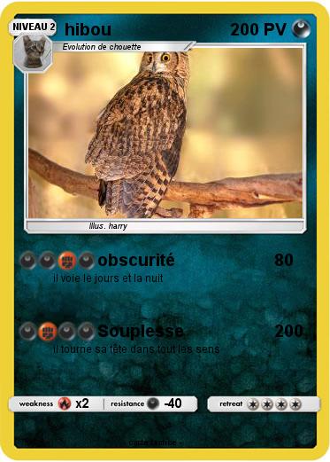 Pokemon hibou