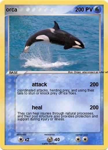 Pokemon orca