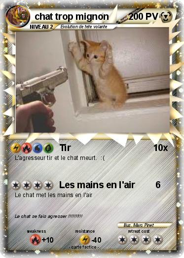 Pokemon chat trop mignon