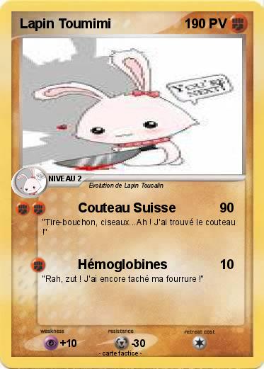 Pokemon Lapin Toumimi