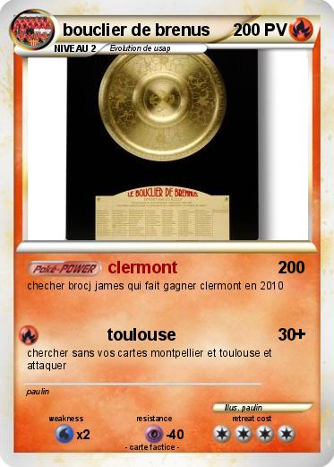 Pokemon bouclier de brenus