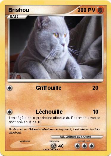 Pokemon Brishou