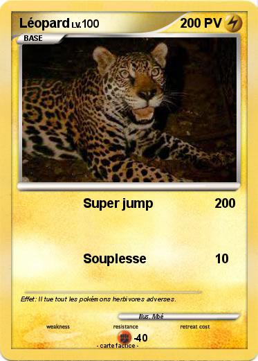 Pokemon Léopard