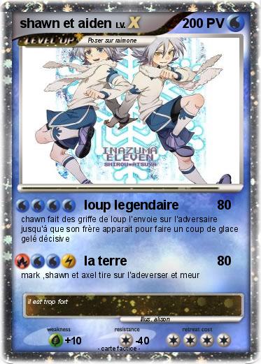 Pokemon shawn et aiden