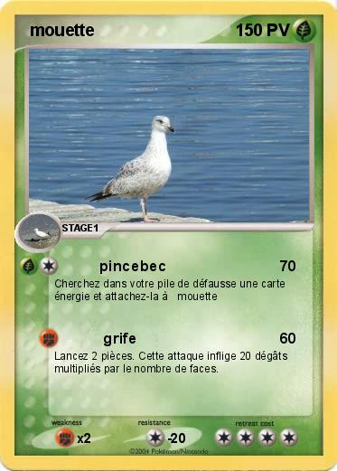 Pokemon  mouette