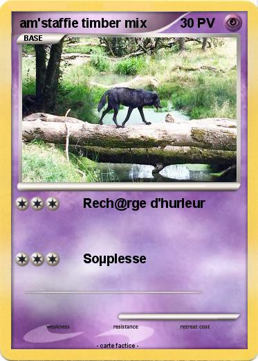 Pokemon am'staffie timber mix