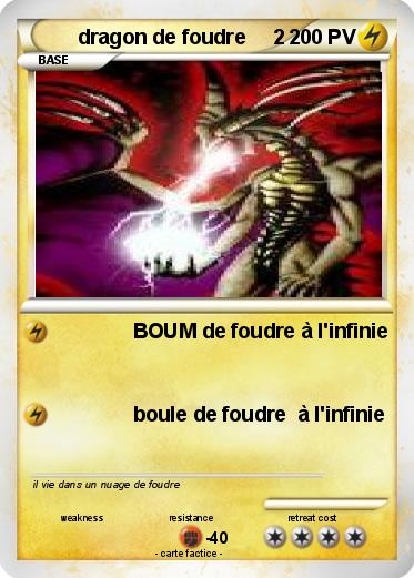 Pokemon dragon de foudre     2