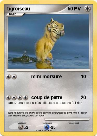 Pokemon tigroiseau
