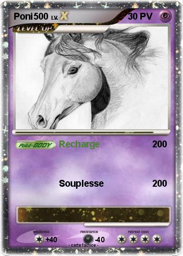 Pokemon Poni500