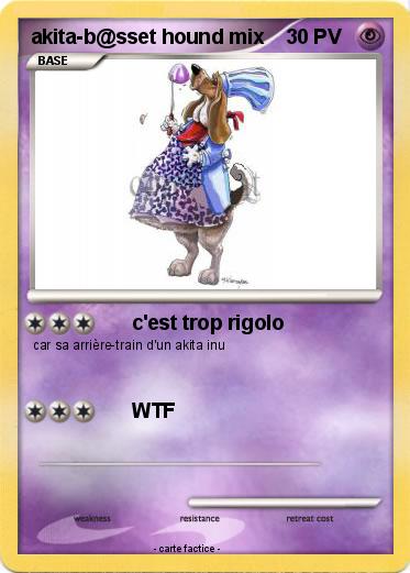 Pokemon akita-b@sset hound mix