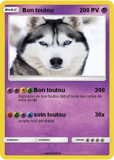 Pokemon Bon toutou