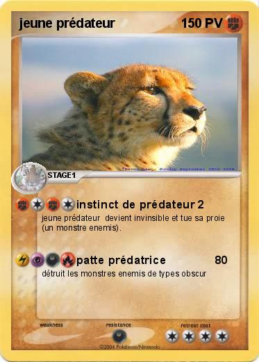 Pokemon jeune prédateur