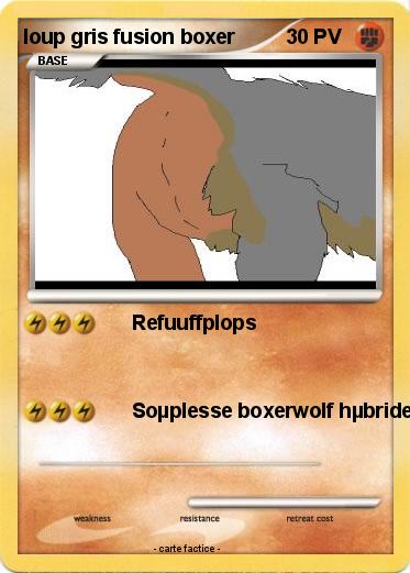 Pokemon loup gris fusion boxer
