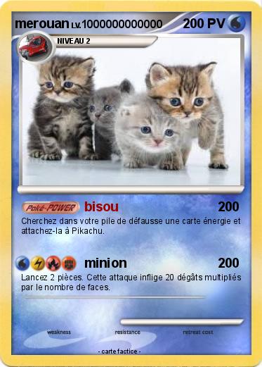 Pokemon merouan