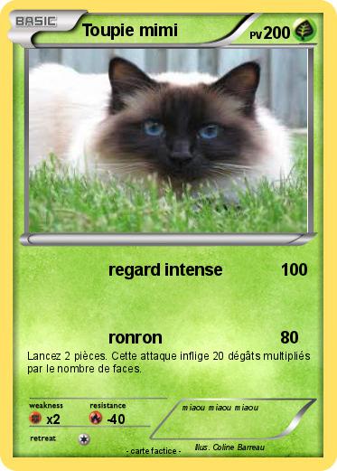Pokemon Toupie mimi