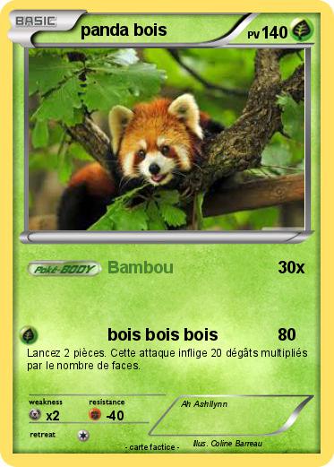 Pokemon panda bois