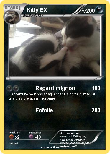 Pokemon Kitty EX