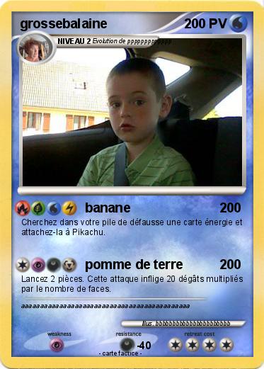 Pokemon grossebalaine