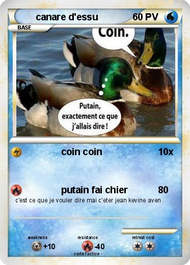 Pokemon canare d'essu