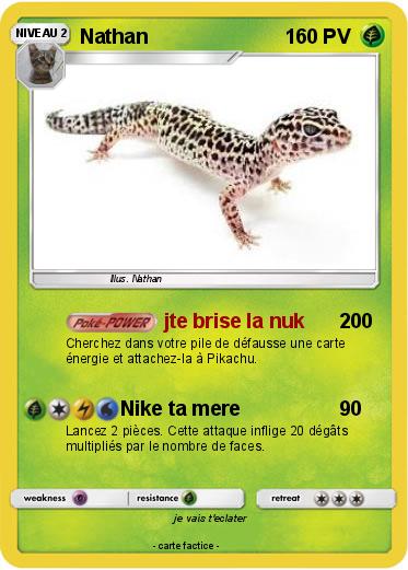 Pokemon Nathan