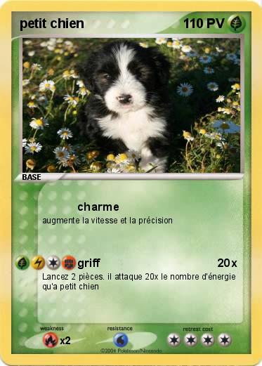 Pokemon petit chien