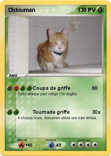 Pokemon Didouman
