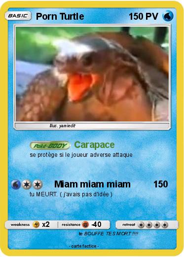 Pokemon Porn Turtle