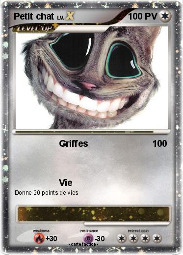 Pokemon Petit chat