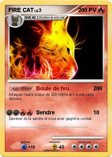 Pokemon FIRE CAT