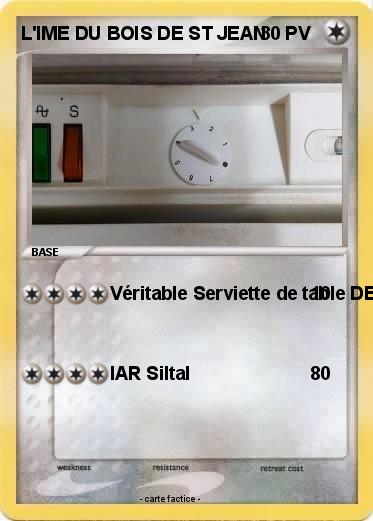 Pokemon L'IME DU BOIS DE ST JEAN