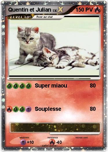 Pokemon Quentin et Julian