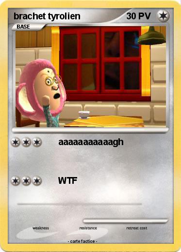 Pokemon brachet tyrolien