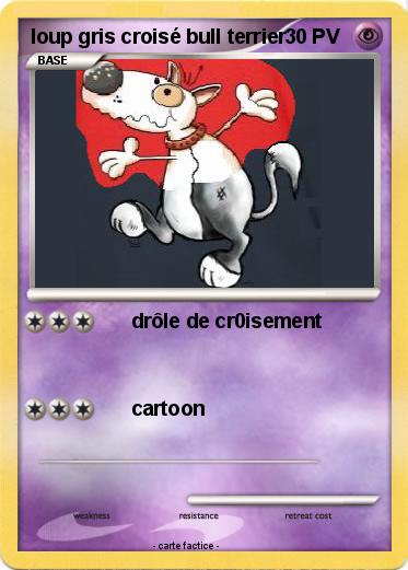 Pokemon loup gris croisé bull terrier