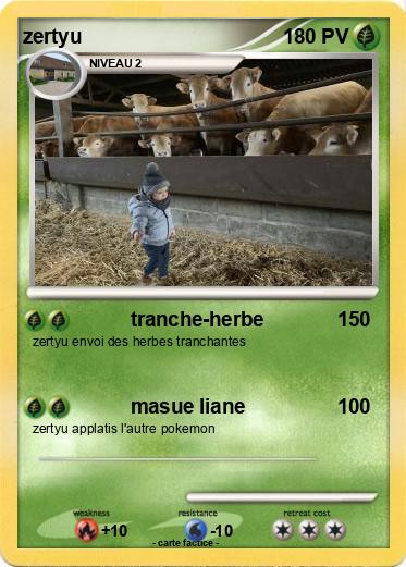 Pokemon zertyu