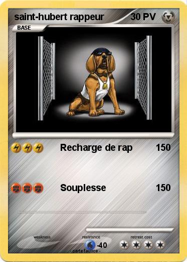 Pokemon saint-hubert rappeur