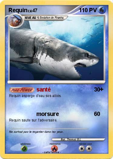 Pokemon Requin