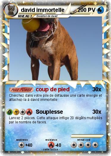 Pokemon david immortelle