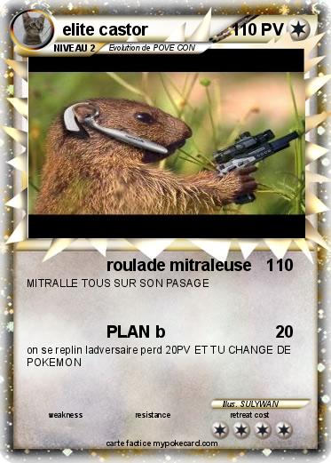 Pokemon elite castor