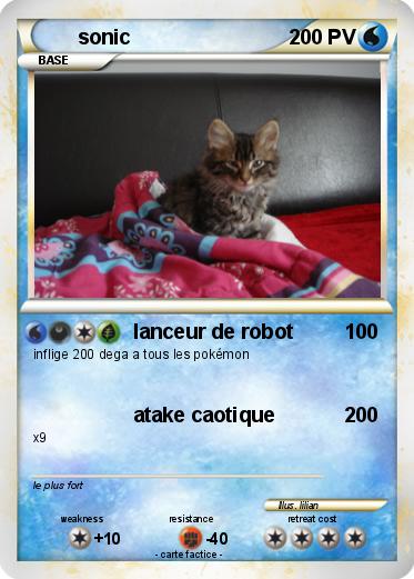 Pokemon sonic
