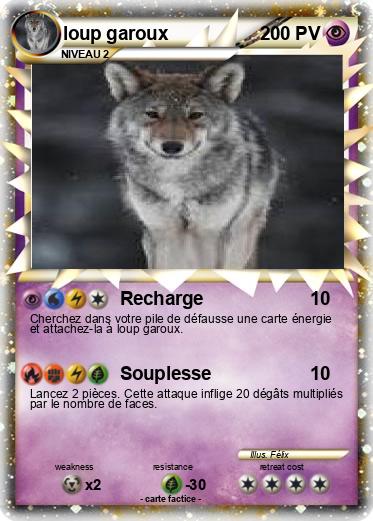Pokemon loup garoux
