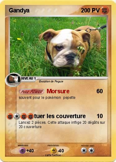 Pokemon Gandya