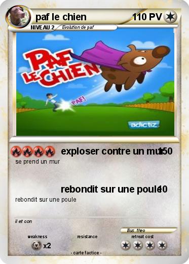 Pokemon paf le chien