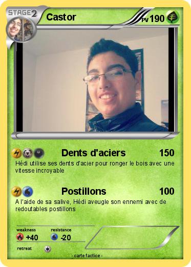 Pokemon Castor