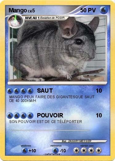 Pokemon Mango