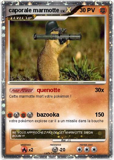 Pokemon caporale marmotte