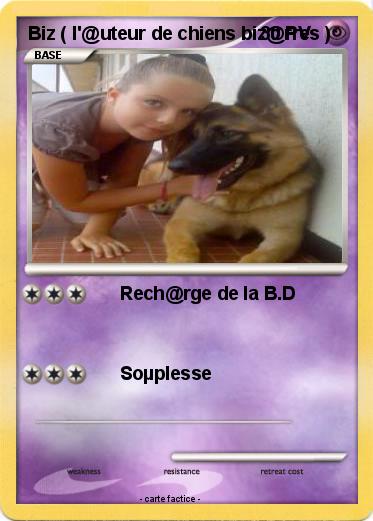 Pokemon Biz ( l'@uteur de chiens biz@rres )