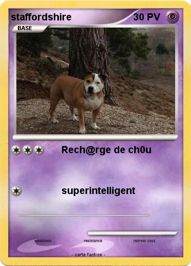 Pokemon staffordshire
