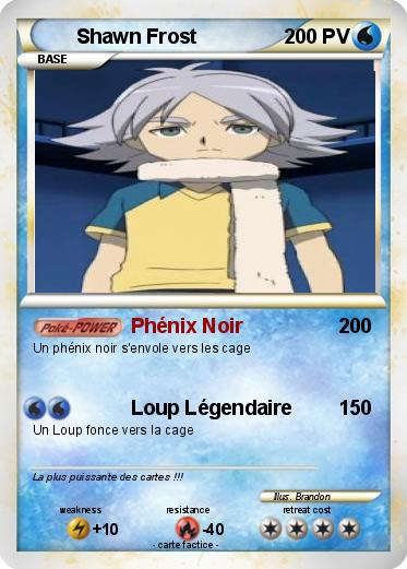 Pokemon Shawn Frost